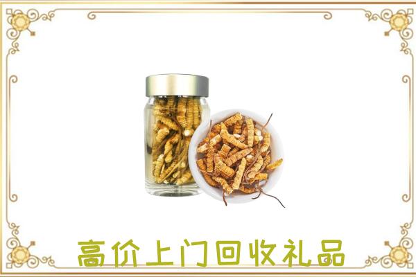 霸州周边回收虫草